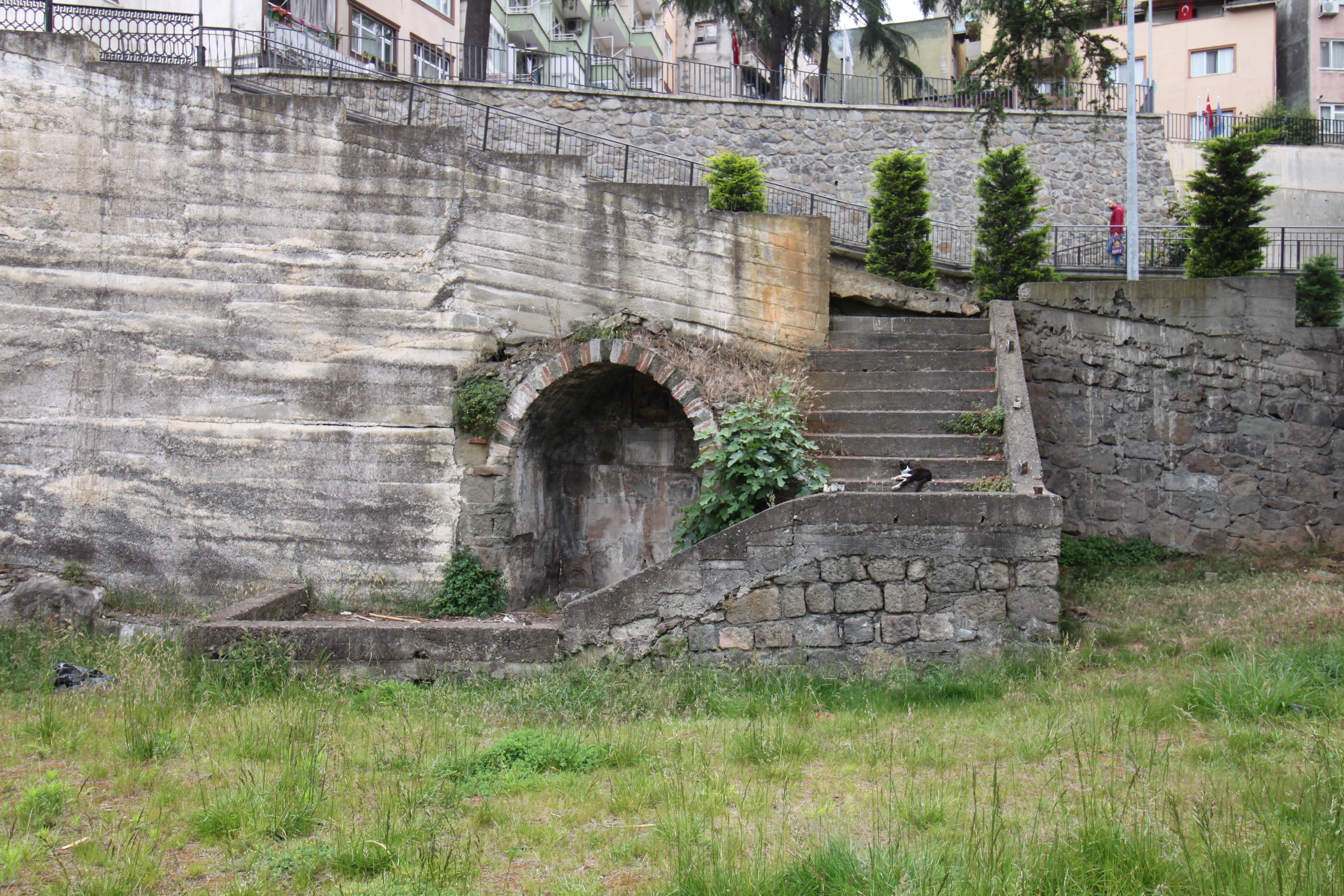 emenin Genel Grn
