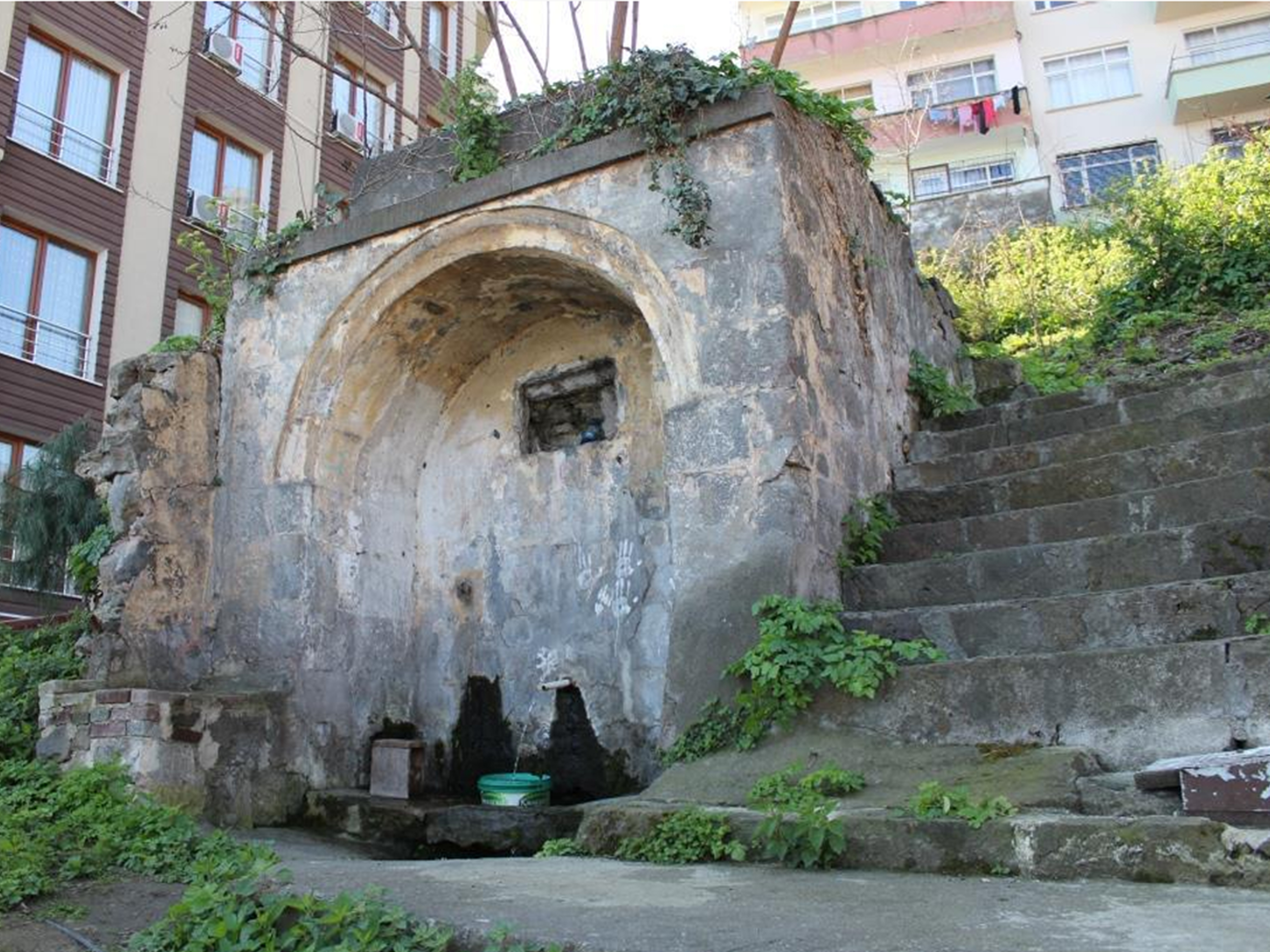 emenin Genel Grn